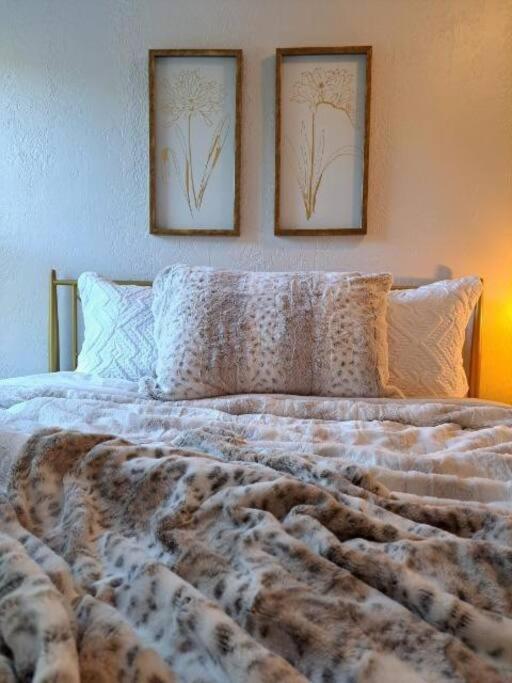 Saco Riverside Apt Modern & Cozy 3 Bedroom 3Rd Flr Conway Exterior photo