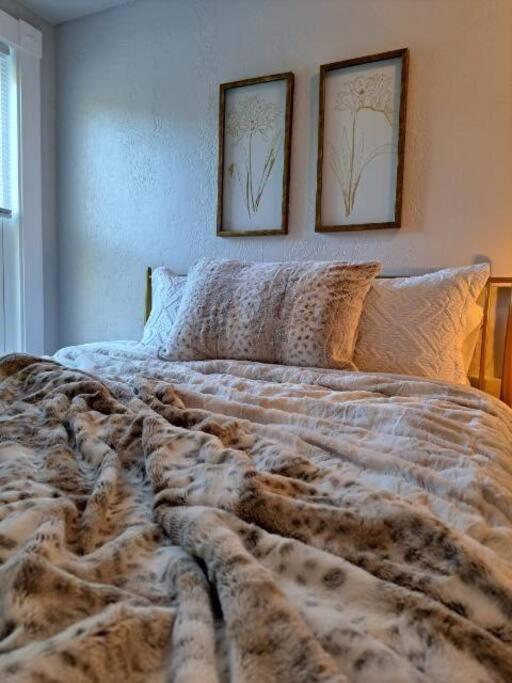 Saco Riverside Apt Modern & Cozy 3 Bedroom 3Rd Flr Conway Exterior photo