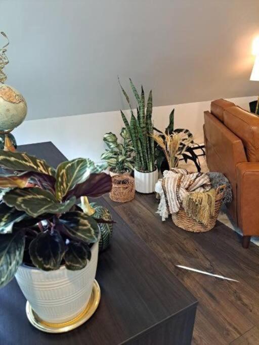 Saco Riverside Apt Modern & Cozy 3 Bedroom 3Rd Flr Conway Exterior photo